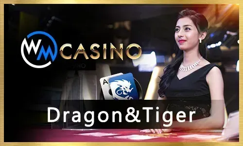 Bingo Bonuses and Promotions